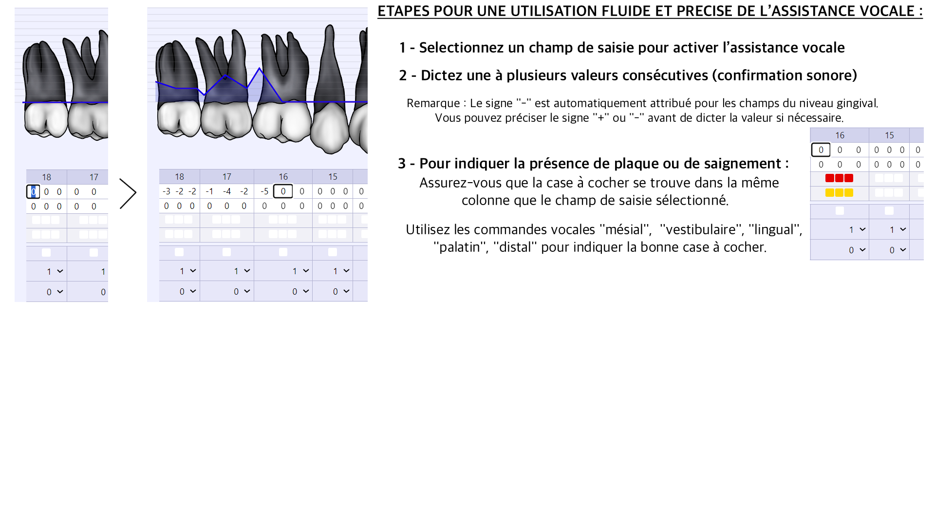 Image slide 3